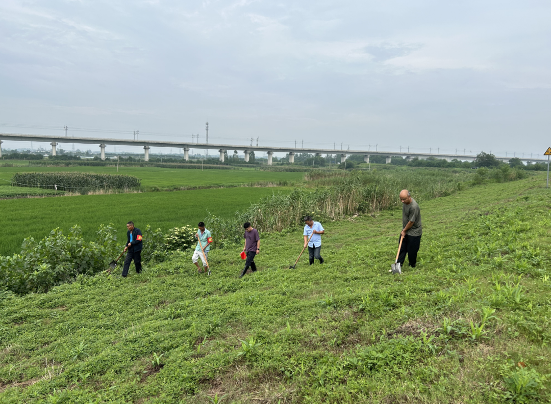 巢湖市柘皋镇最新规划(巢湖市柘皋镇规划更新揭晓)