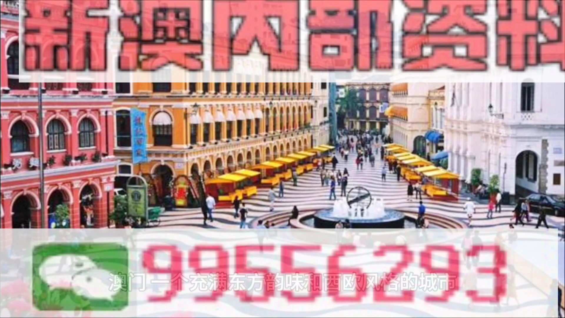 2024澳门天天彩期期精准｜每日准确的2024澳门彩票预测_计划迅速调整分析