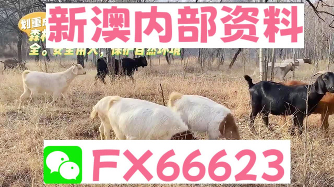 暖年如歌 第2页