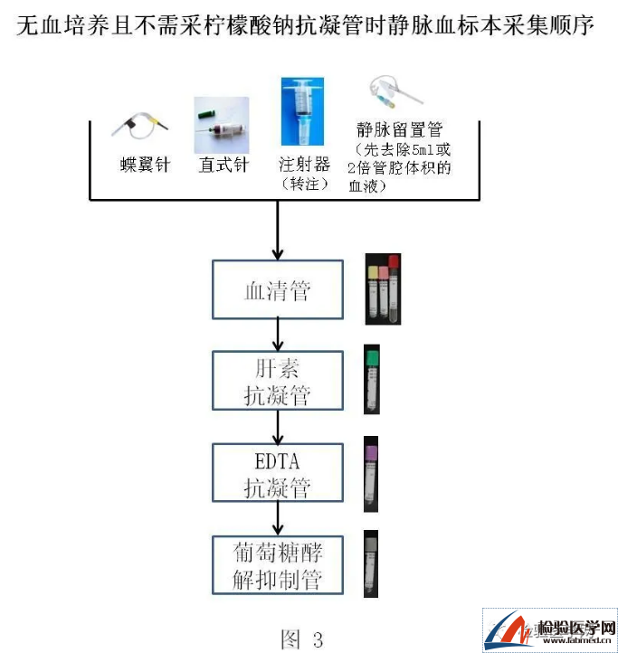 最新版血标本采集顺序指南发布