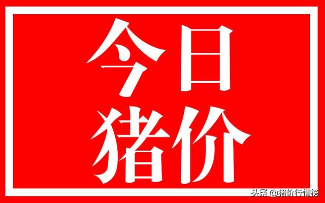 今日猪肉价升共赢，新鲜行情一览无遗