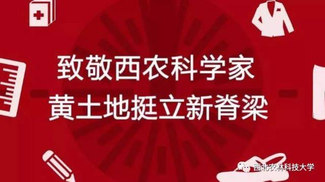 谷河大道喜讯连连，精彩更新盘点