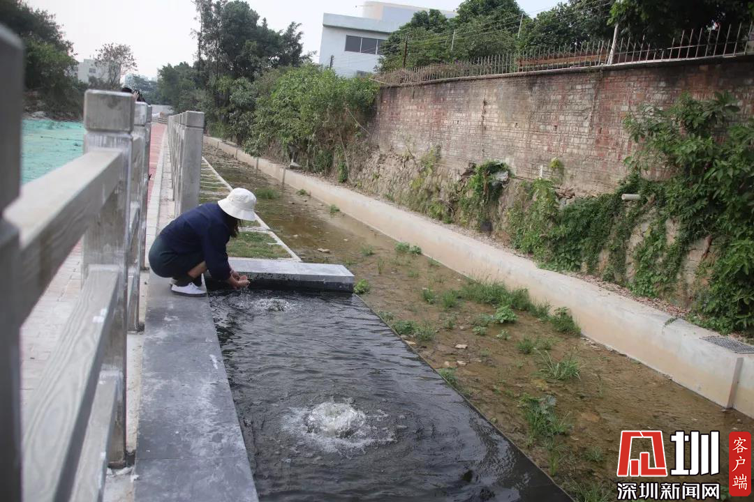 小水清沟最新资讯